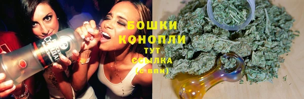 шишки Зеленодольск
